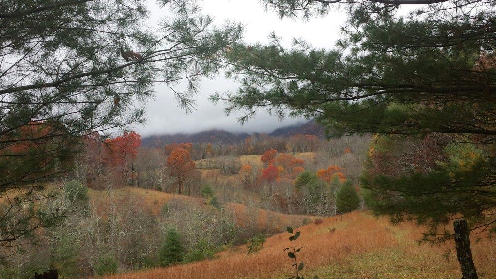 On Being a Mature Artist – Part 1