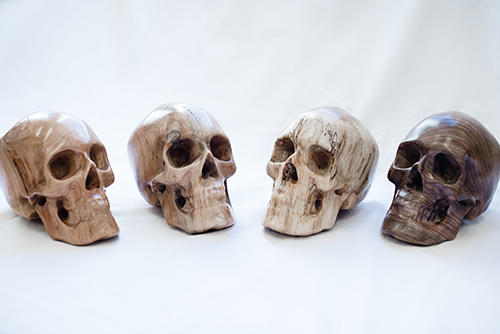 Skulls – An Introduction: What Do You See?